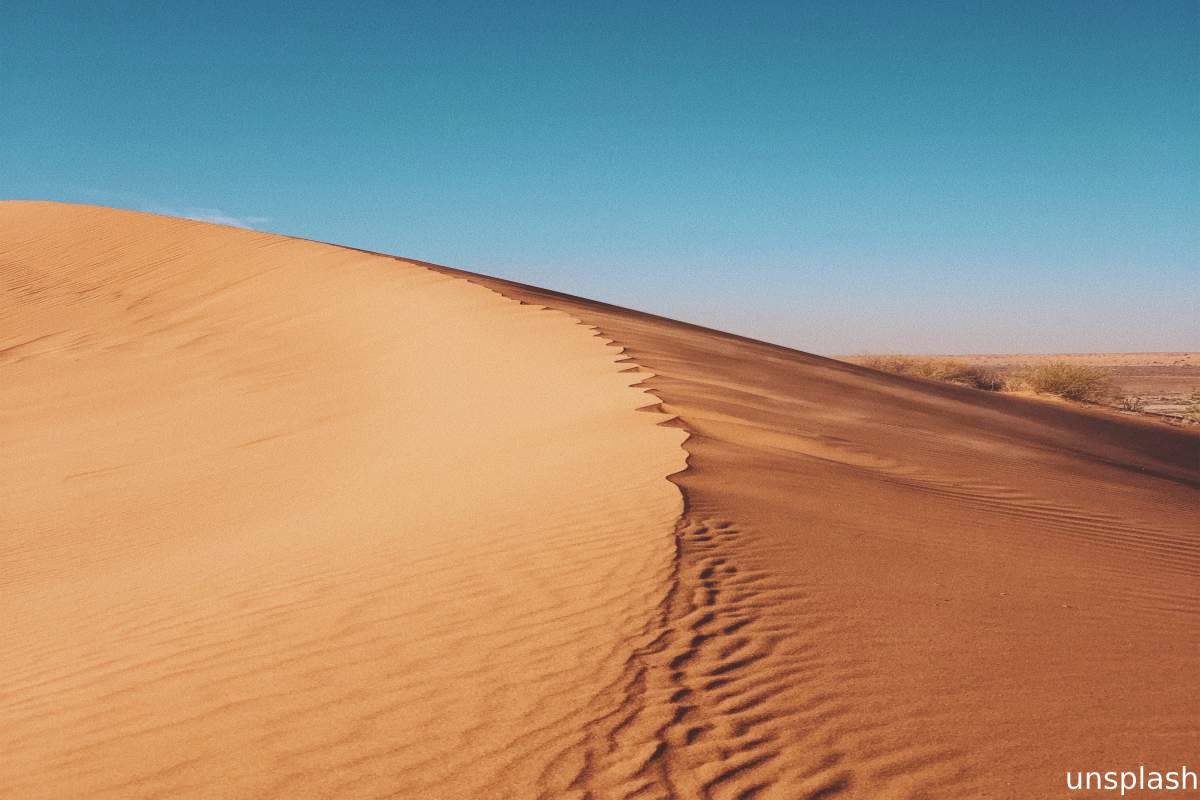 Outback Tracks